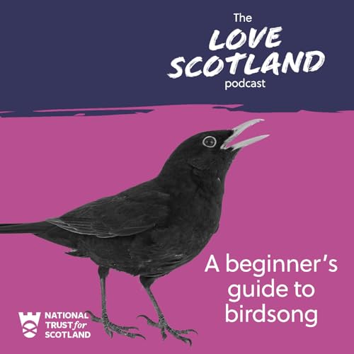 A beginner's guide to birdsong