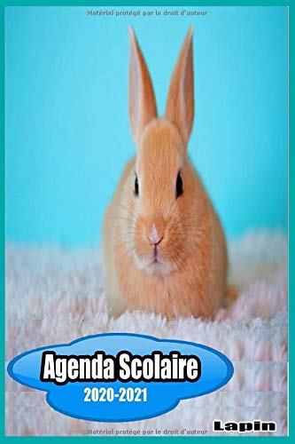 Agenda Scolaire 2020-2021 : Lapin: Agenda Journalier Lapin | Lapin mignon |272 page Agenda Animal Lapin;Carnet de notes et Gestion 2020 2021 de poche ... Emplois De temps;Agenda Planificateur