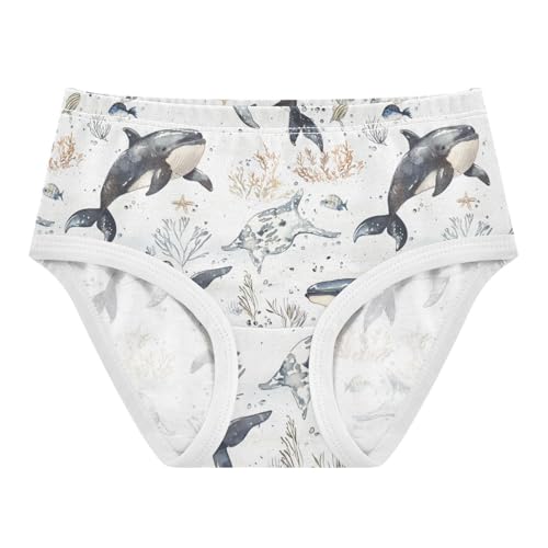 ZZKKO Ocean Whales Corals Starfish Girls Underwear Toddler Panties for Girls Comfort Brief Size 2-8T