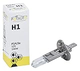 Potauto H1 Fog Lamp Bulb for Car P14,5s 12V 100W