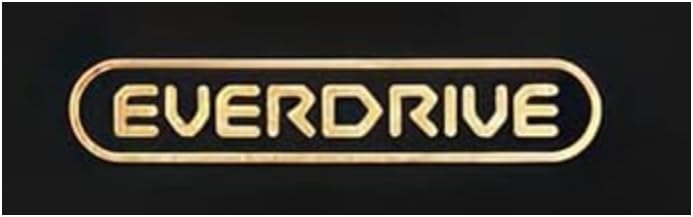 Amazon.com: EverDrive GBA Mini : Video Games