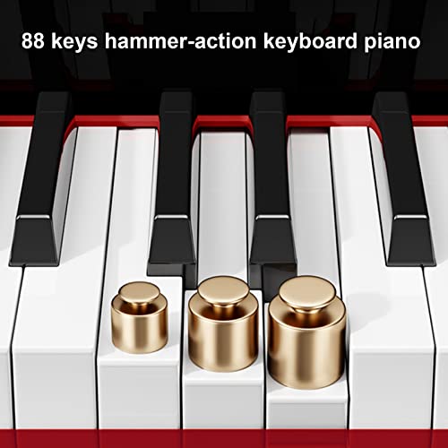 Clavier de piano numérique à 88 touches avec action de marteau Touches pondérées Piano électrique Bluetooth Connexion MIDI Haut-parleur HIFI intégré Comprend un support, une pédale de sustain (Color - Les Beatles, Paul McCartney, John Lennon, RIngo Starr, George Harrison Clavier de piano numérique à 88 touches avec action de marteau Touches pondérées Piano électrique Bluetooth Connexion MIDI Haut-parleur HIFI intégré Comprend un support, une pédale de sustain (Color – Image 3