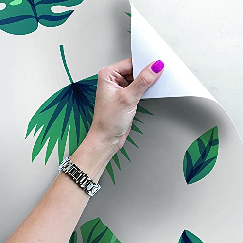 Papier Peint Monstera Leaf Palm 208x146cm Lessivable pour Rénover un Meuble - 4