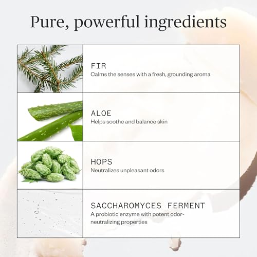 Desodorante Natural Ursa Major Forest Fix 2.6 oz miniatura 4
