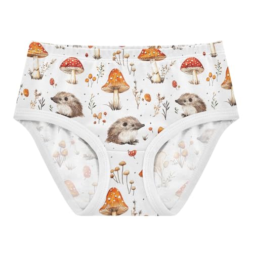 ZZKKO Mushrooms and Hedgehogs Girls Underwear Toddler Panties for Girls Comfort Brief Size 8Y