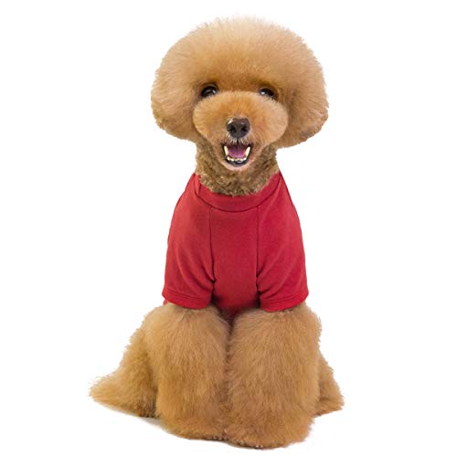 Vêtements T-shirts Manteaux Petit Chien Chat Chiot/Été Chien Chiot Chemises Vêtements Manteaux Bleu Rouge Jaune Couleurs Pures Seulement Pour Les Petits Chiens Chats Chiot - Poids 1.2-9.0 Kgs Cover