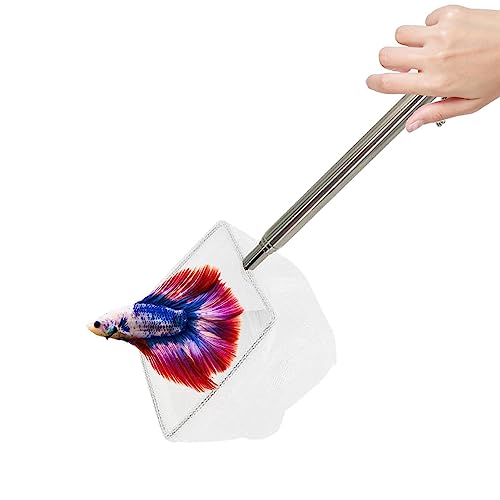 Kasmole - Pesca de mango largo - Cuenca de acero inoxidable - Artes de pesca fáciles de agarrar para depósito, agua salada, estanque, río