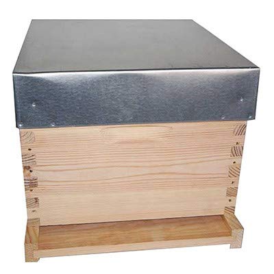 Ruche à tenons Langstroth 10 Cadres Hoffmann - MONTAGE A TENONS - EPICEA 1er CHOIX - Argent - Bois Naturel - Traditionnel - Single - 90x190 cm