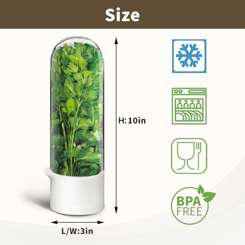 Image of Herb Keeper for Refrigerator, Herb Saver for Refrigerator, Vegetable Preservation Bottle for Cilantro, Mint, Parsley, Asparagus, Keeps Greens Fresh for 2-3 Weeks (1PCS)