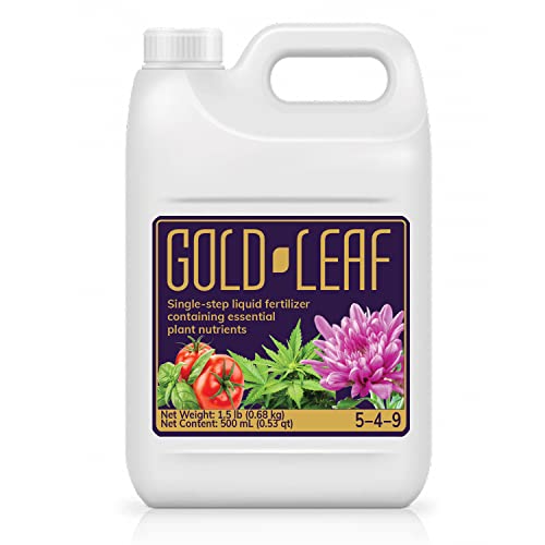 Best Fertilizers For Zoysia Grass In For Every Need Ultimate Reviews On
