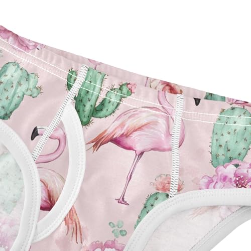 Wusikd Flamingos Cactus Boys' Underwear Cotton Pink Watercolor Boys Briefs Soft Toddler Underwear 2T4