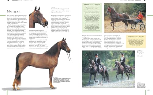 image for Lorenz Books The Complete Book of Horses: Breeds, Care, Riding, Saddle