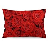 Photo Gallery jzemdybill federa per cuscino, con rosa rossa, rettangolare, in peluche, per divano e camera da letto Photo Gallery jzemdybill federa per cuscino, con rosa rossa, rettangolare, in peluche, per divano e camera da letto