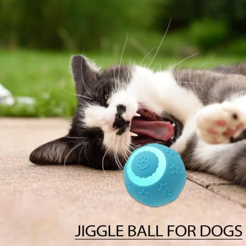 Bola interactiva para gatos recargable con dos puntas intercambiables para juego interior 3