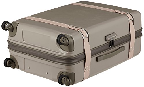 プロテカ『ジーニオセンチュリーZ（02812）』