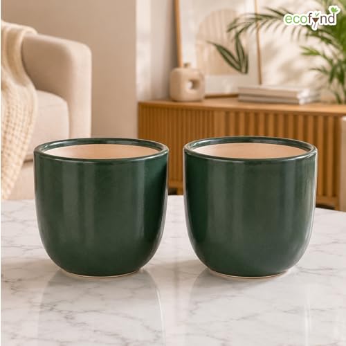 Image of ecofynd 5 Inch Ceramic Plant Pots with Drainage Hole, Modern Decorative Clay Flower Pots for Indoor Plants, Home Garden Decor for Living Room, Bedroom & Interior Spaces (Pack of 2, CPOT041-DGN)