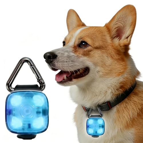 Tescher LED Dog Collar Light Blue