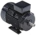 Metric Motor, 230/460V, Ball, 60/50 Hz