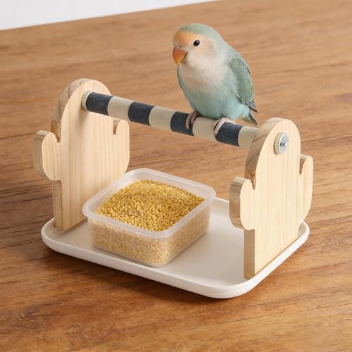 Perchoir à oiseaux avec jouet interactif enrichissant pour inséparables