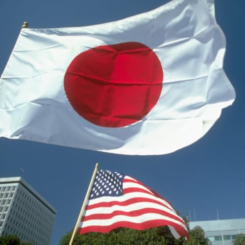 America as Seen from Japan