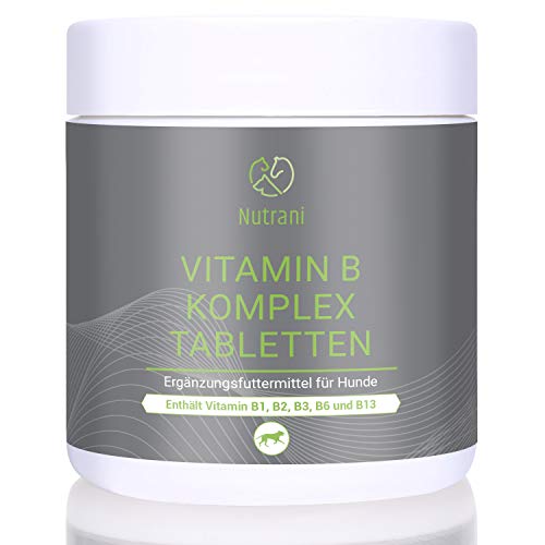 【ᐅᐅ】Kotfressen Vitamin B Mangel Die momentan besten Produkte im Detail!