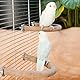 Allazone 8 Stück Natur Sitzstangen für Vögel, Naturholz Sitzstangen, Vogel Spielzeug, Vogelkäfigzubehör für Kleine Sittiche, Nymphensittiche, Sittiche