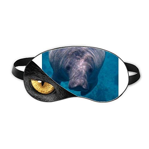 Cm̎ʐ^Be̓̊G xݖڂ̎Ռe