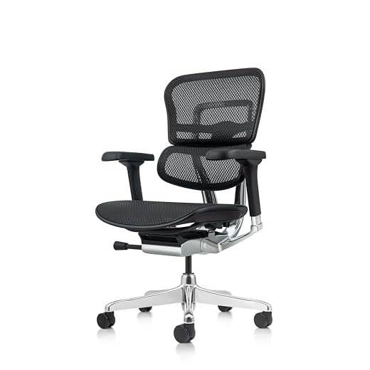 Eurotech Seating Ergohuman Mid Back Mesh Swivel Chair, Black