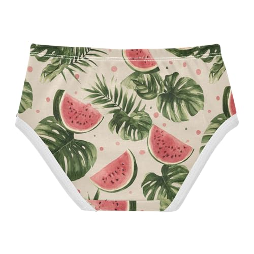 Wusikd Watermelon Palm Girls' Underwear Cotton Girls Briefs Soft Toddler Underwear 2T2