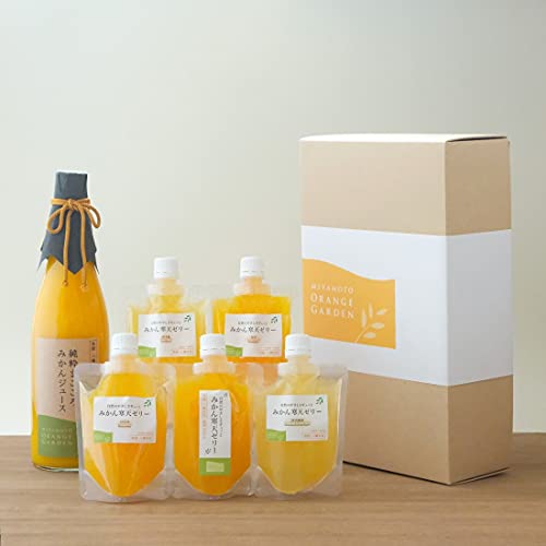 ~gIWK[f Mtg Y QY ݂̉ MtgZbg | ݂񊦓V[[T{+100%Xg[gW[XP{