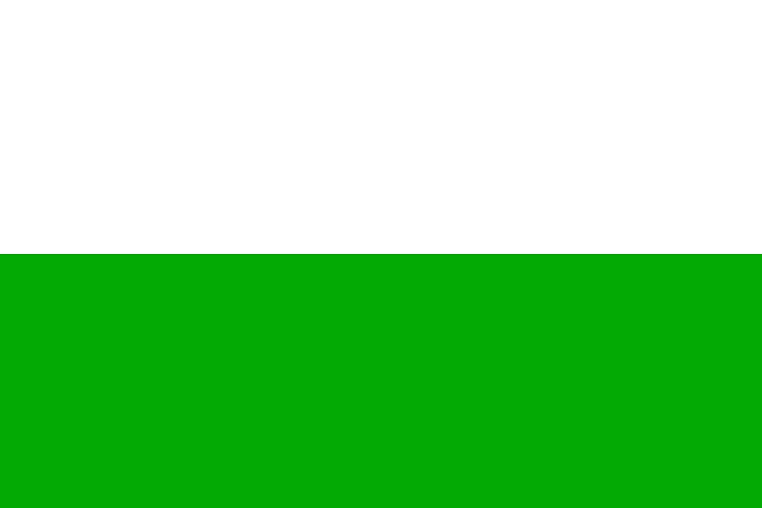 Drapeau Medellín grand format paysage drapeau extérieur grande taille
