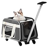 PETSFIT Airline Approved Cat Carrier with Wheels Designed for Small Dogs/Cats with Adjustable Safety Rope & Removable Wheels
