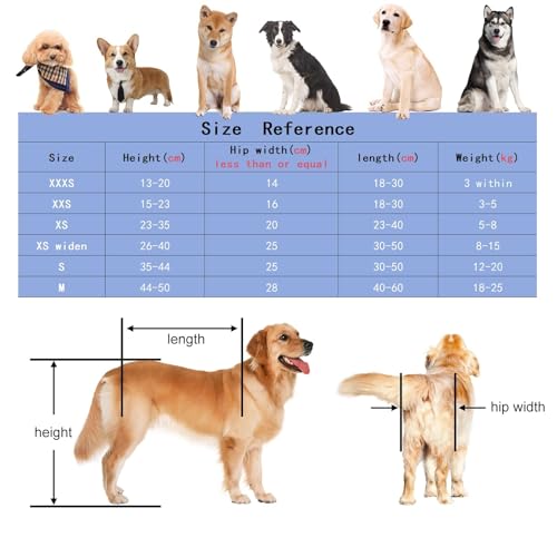 Outils de levage pour chiens handicapés et fauteuil pliable - 5