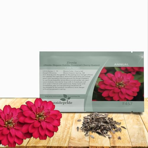 Outsidepride Dahlia Flowered Cherry Queen Zinnia Seeds - 1000 Pcs Annual, Hardy, Drought Tolerant & Deer Resistant, Ideal for Cut Flowers, Containers, Pots, Pollinator Gardens, Background & Borders