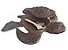 Rustic Cast Iron Turtle Hide A Key 5"