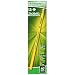 Ticonderoga Pencils, Wood-Cased Graphite #4 2H Extra Hard, Yellow, 12-Pack (13884)