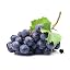 Grape Gusher