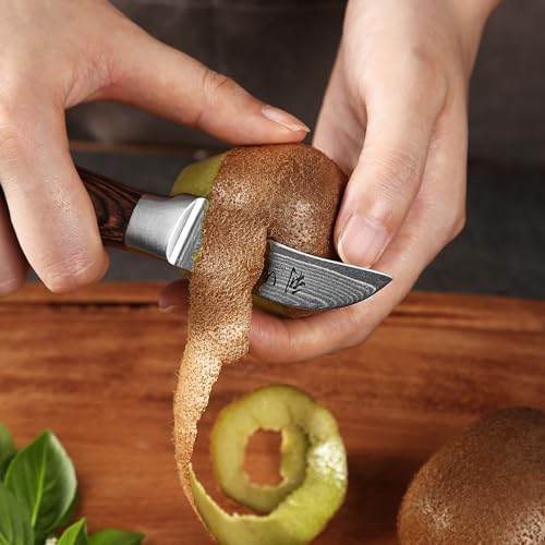 Foto von Wakoli EDIB Schälmesser aus echtem Damaststahl (VG10 Kern) mit 6 cm gebogener Klinge – Scharf & handlich – Damastmesser mit Pakkaholzgriff in Geschenkbox – Tourniermesser für Obst & Gemüse