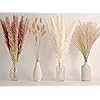 65PCS Pampas Grass Decor, Including pompas Floral, Reed Dried Grass and Bunny Tails Dried Flowers, Natural Dried Pampas Grass Bouquet for Boho Decor Wedding, Home Decoration
