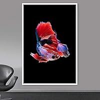 Framed Canvas Wall Art Fish Bedroom Colorful Jellyfish Marine Life Multicolor Neon Photography Tropical - 16x24 inches