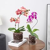 PERFECTOP 2Pcs 4.3+5.8inch Glass Orchid Pots with Holes and Saucer,Clear Breathable Orchid Planter with Drainage Holes & Tray,Stylish Flower Pot Planter for Orchids Indoor Plants,Home Office Decor