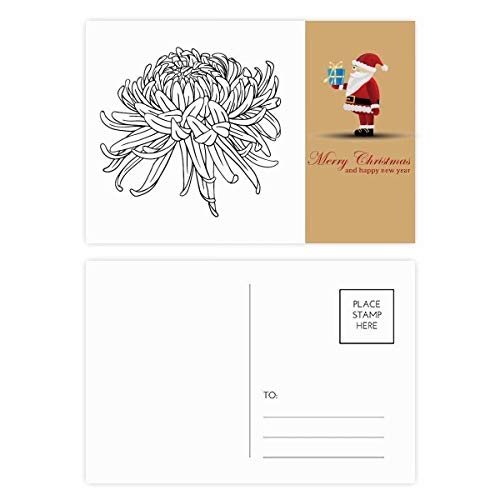 Cartes postales chrysanthèmes - Lot de 20 cartes de correspondance florale A6