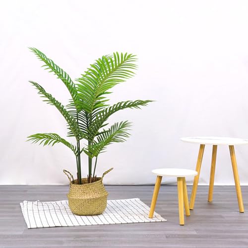 [LJKI] tFCNO[ lH ϗtA AJV A K̖  lH 120cm  J^  v[gp  ͂ȂO[ ȒP? sv Q쏜sv k  _ Mtg j 蕨 a 