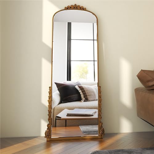 Amazon.com: Barnyard Designs 22" x 64" Vintage Gold Full Length Mirror ...
