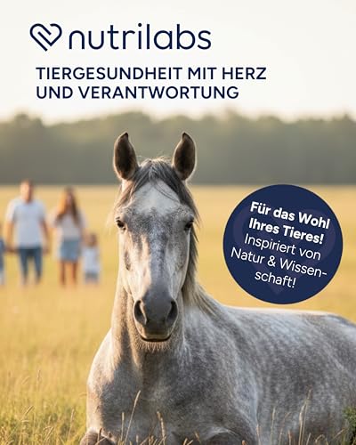NutriLabs Glukosaminol® equin Gelenk-Pulver für Jung-Pferde 600 g - mit Glucosamin & Magnesium Pferd - Glucosamin Pulver - Pferde-Nahrungsergänzungsmittel - Gelenknahrung für Pferde