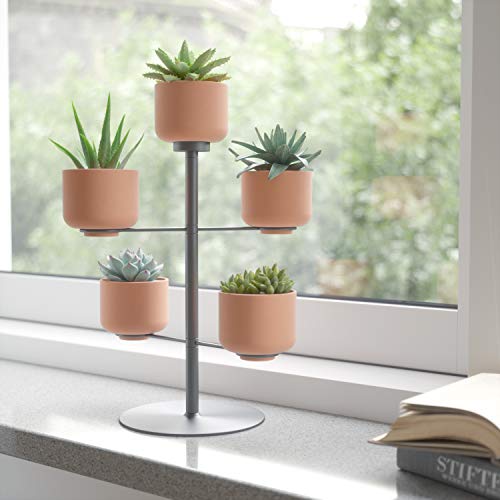 Umbra Terrapotta Tabletop Planter #TOP6