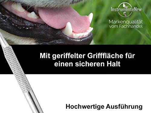 Mini Hunde Zahnsteinkratzer Einseitig Zahnpflege Zahnreiniger für Haustiere Tiere Zahnbürsten-Alternative aus Edelstahl Auch für Katzen oder Nager Zahnreinigung Zahnsteinentferner