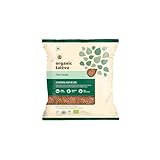 Organic Tattva, Organic Flax Seeds (ALSI) Quality Raw Unroasted Seeds, No Artificial Additives Or Harmful Pesticides Enriched with Omega-3, Heart-Healthy (100G, Pouch)