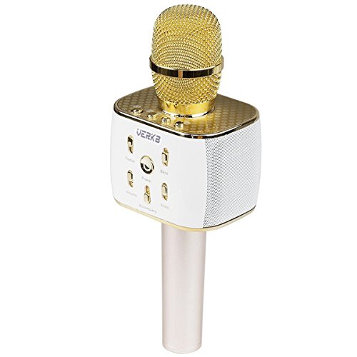 mic with speaker for kids