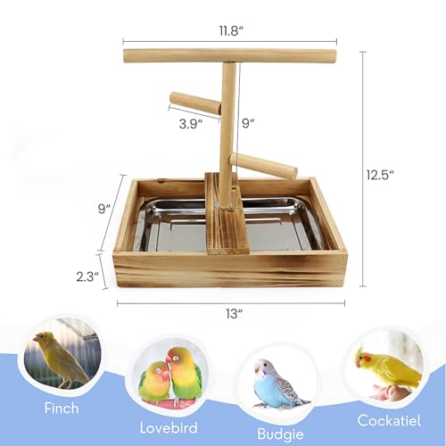 Image of Bird Perch Stand with Removable Tray, Natural Wood Parrot Playground, Tree Perch Platform Play Gym for Cockatiel Budgie Parakeet Conure